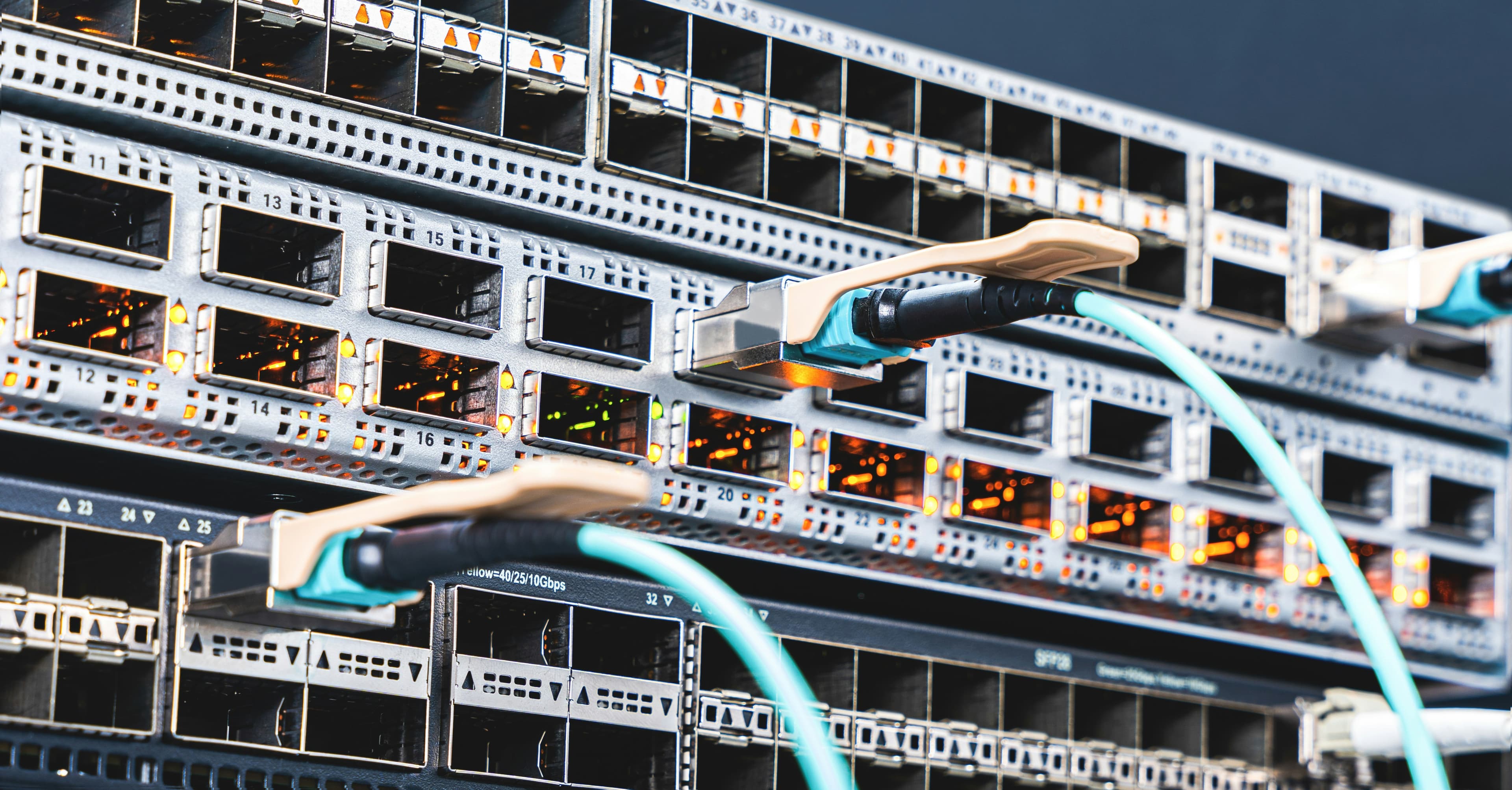 PowerDillo network installation